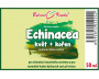 Echinacea (třapatka) kapky - kvetoucí nať + kořen (tinktura) 50 