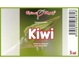 Kiwi 5 ml - gemmoterapie