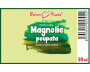 Magnolie poupata - bylinné kapky (tinktura) 50 ml
