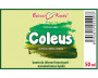 Coleus - bylinné kapky (tinktura) 50 ml