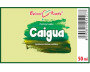 Caigua - bylinné kapky (tinktura) 50 ml