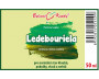 Ledebouriela - bylinné kapky (tinktura) 50 ml