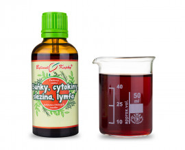 Buňky, cytokiny, slezina, lymfa (Netopýr 3) - bylinné kapky (tinktura) 50 ml