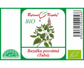 Bazalka posvátná (tulsí) BIO - bylinné kapky (tinktura)  50 ml
