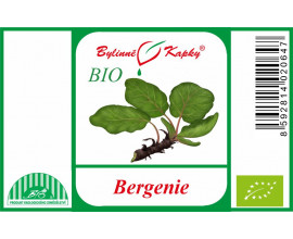 Bergenie BIO - bylinné kapky (tinktura) 50 ml